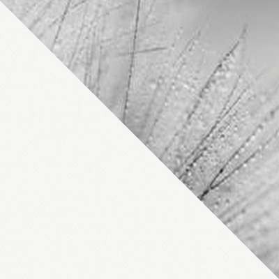 Кухонный стол Ривьера ФП