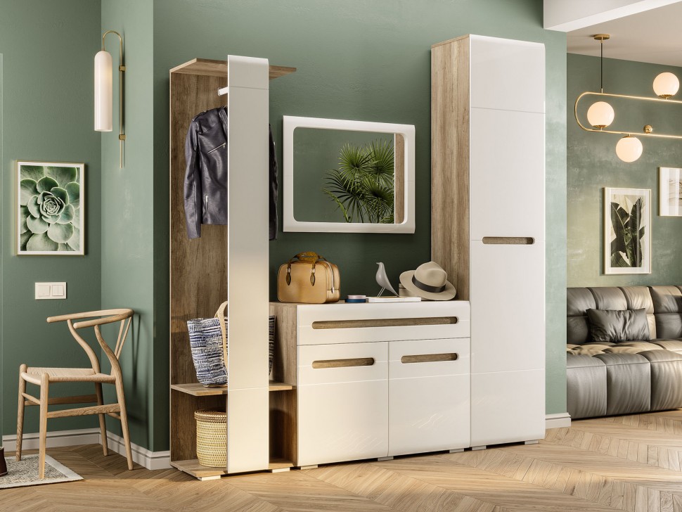 Распашной шкаф Наоми