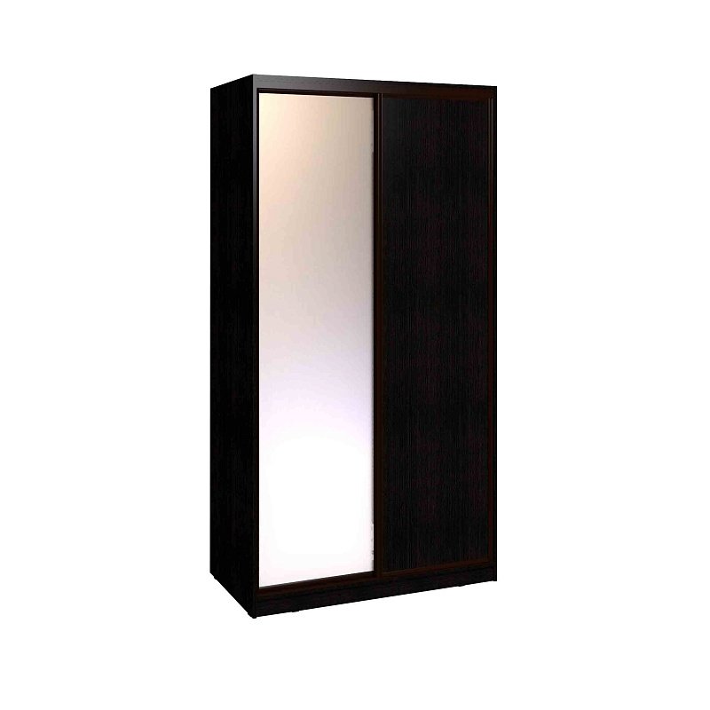 Шкаф-купе с зеркалом Домашний 303