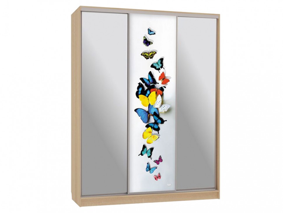 Шкаф-купе Бассо 9-600 88