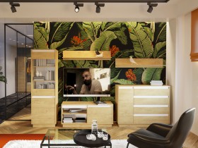 Гостиная Гостиная VIRGINIA комплектация 2