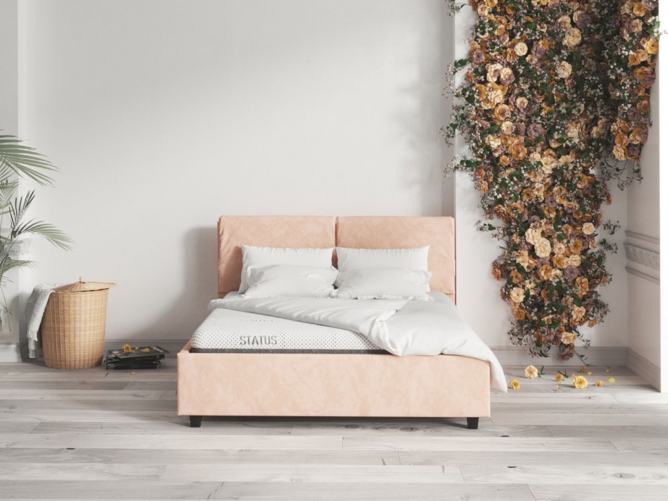 Беспружинный матрас Status Х 18