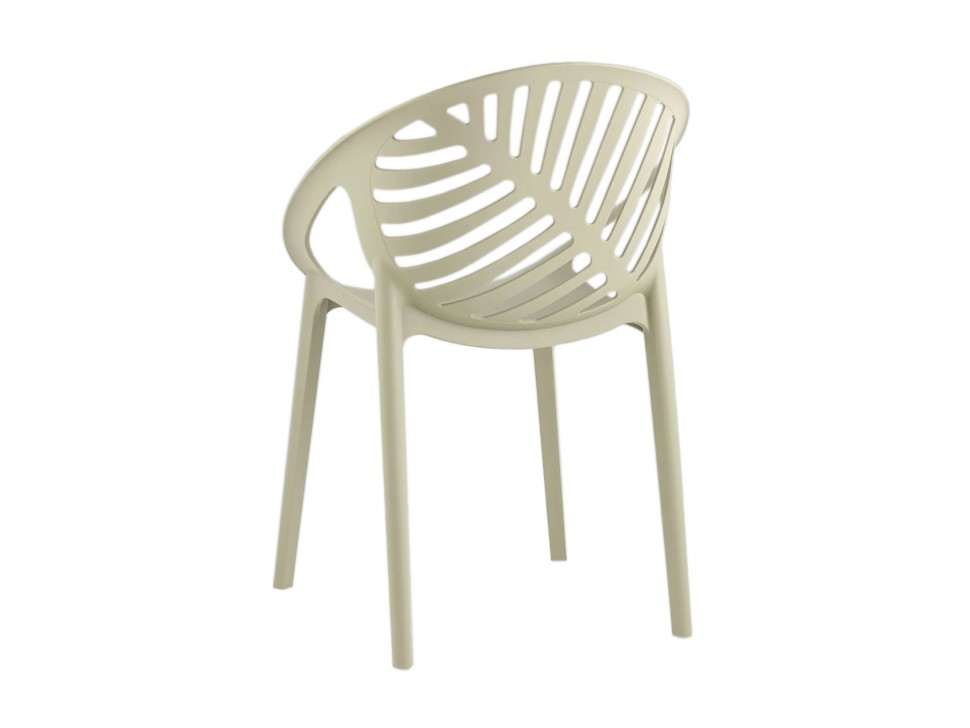 Стул Монстера