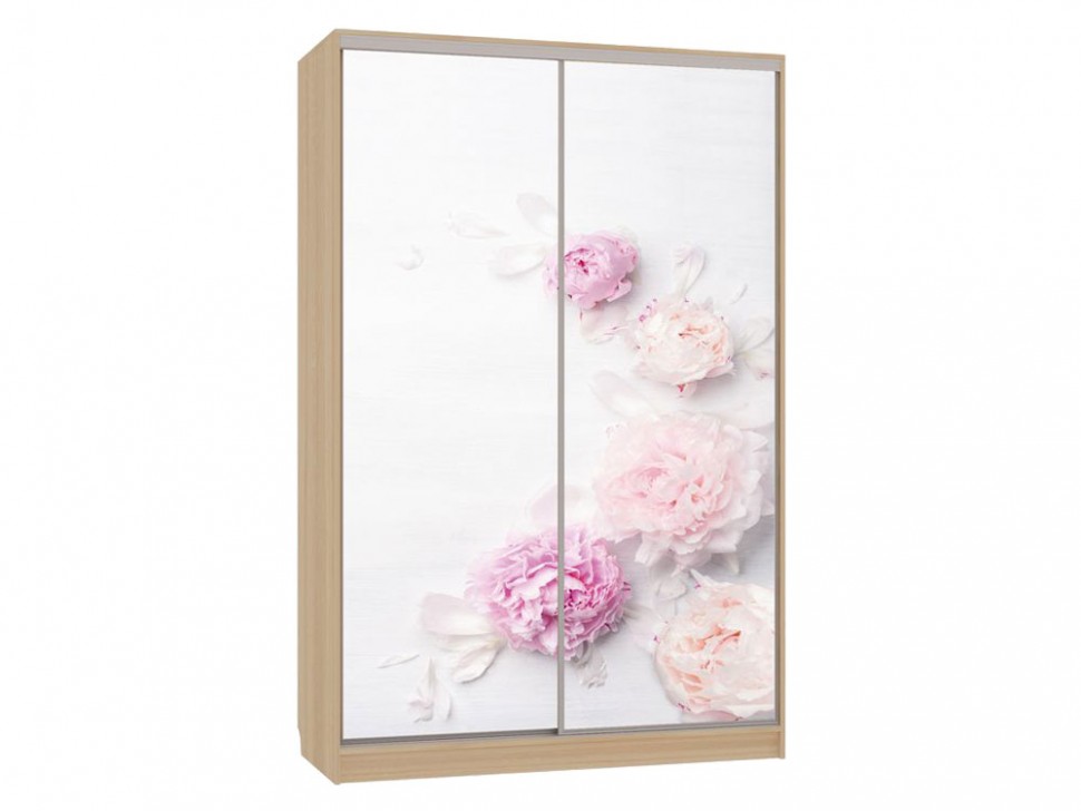 Шкаф-купе Колорадо 7 Цветы