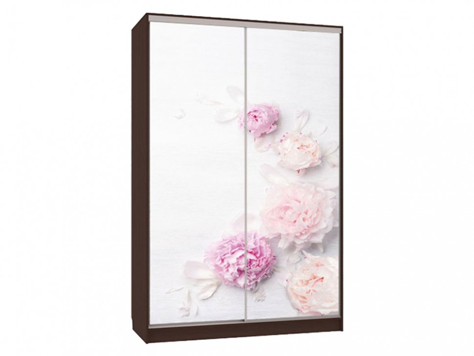 Шкаф-купе Колорадо 7 Цветы