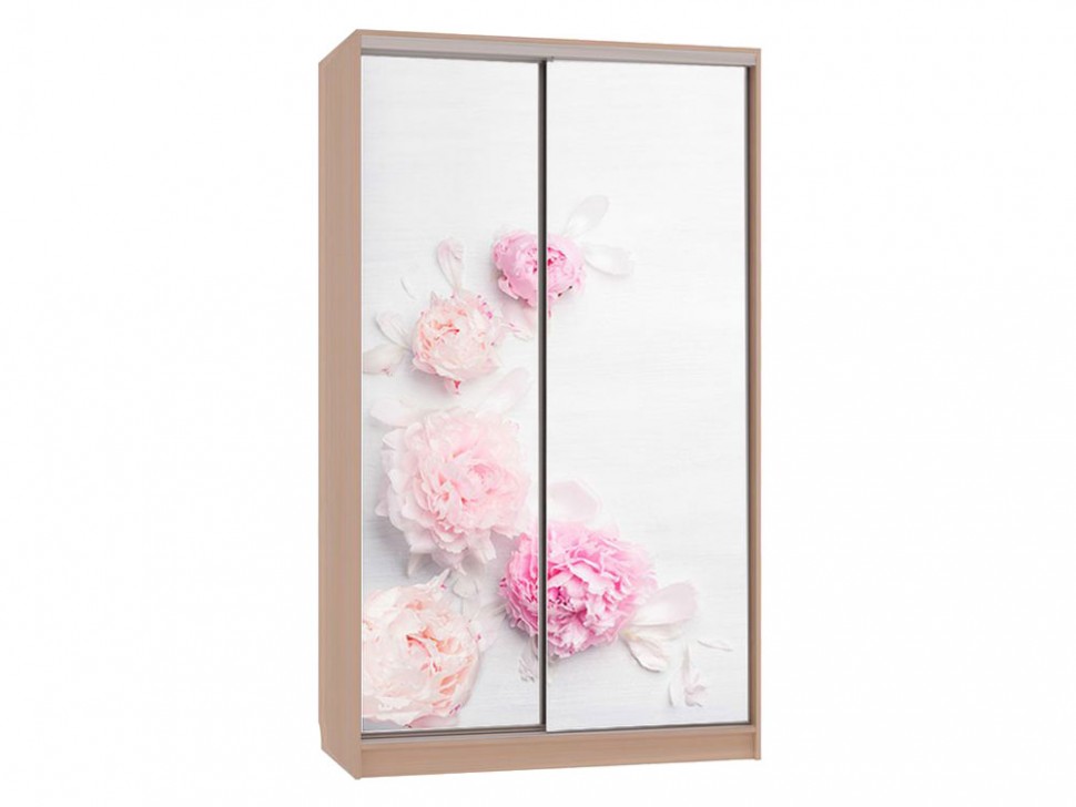 Шкаф-купе Колорадо 7 Цветы