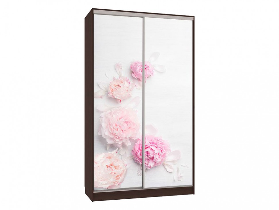 Шкаф-купе Колорадо 7 Цветы