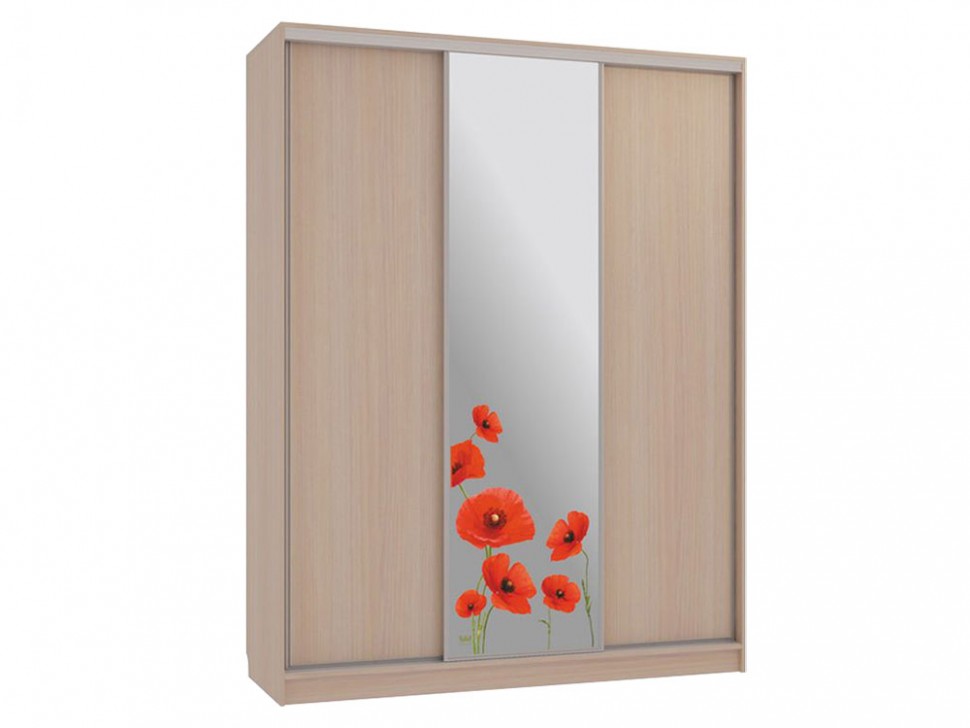 Шкаф-купе Бассо 1 Маки