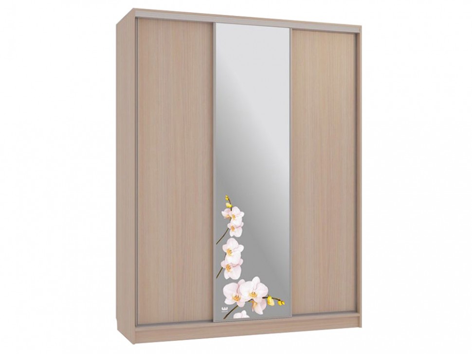 Шкаф-купе Бассо 1 Орхидеи