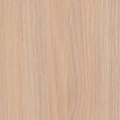 Шкаф-купе Бассо 1 Орхидеи