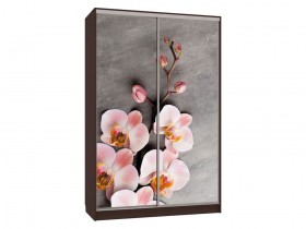 Шкаф-купе Колорадо 7 Цветы 2