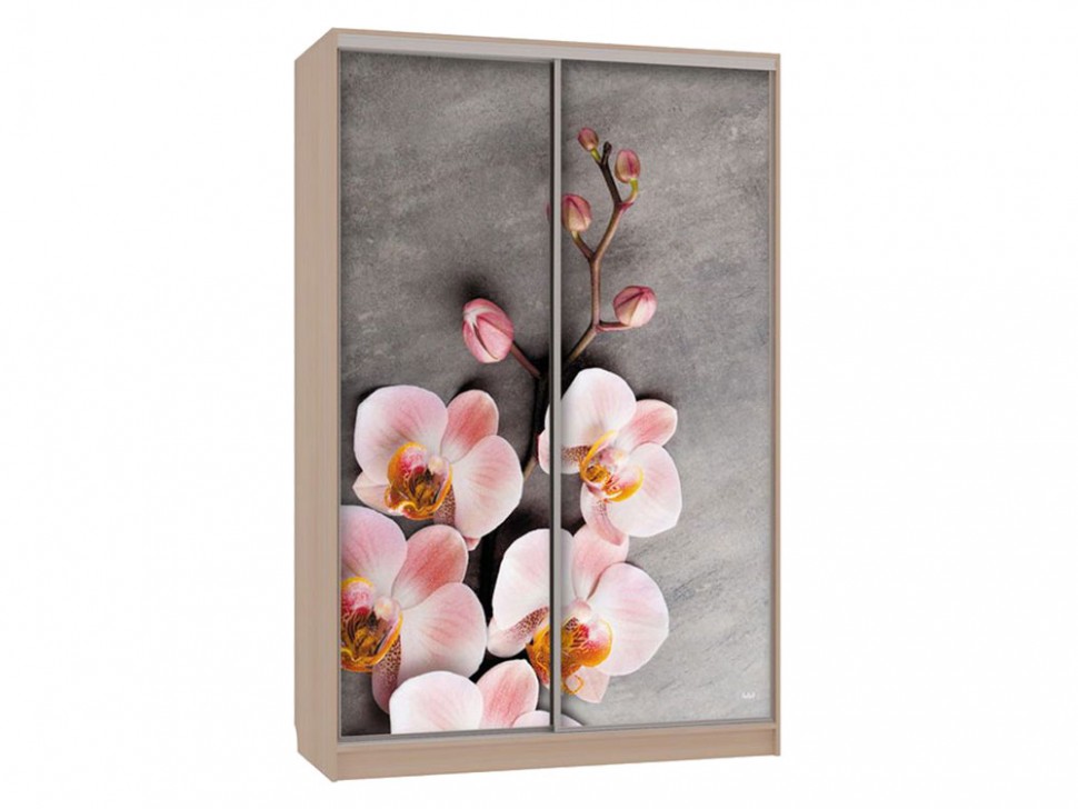 Шкаф-купе Колорадо 7 Цветы 2