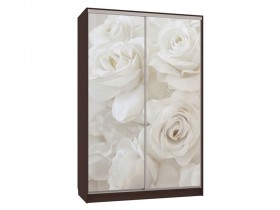 Шкаф-купе Колорадо 7 Розы