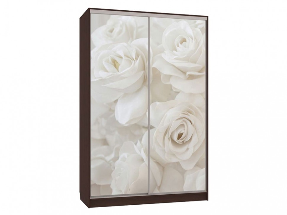 Шкаф-купе Колорадо 7 Розы