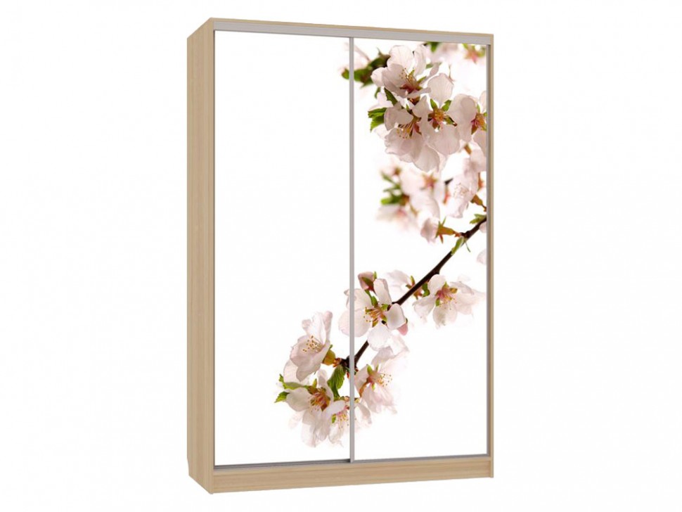 Шкаф-купе Колорадо 7 Яблоня