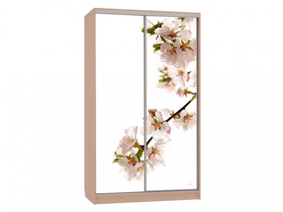 Шкаф-купе Колорадо 7 Яблоня