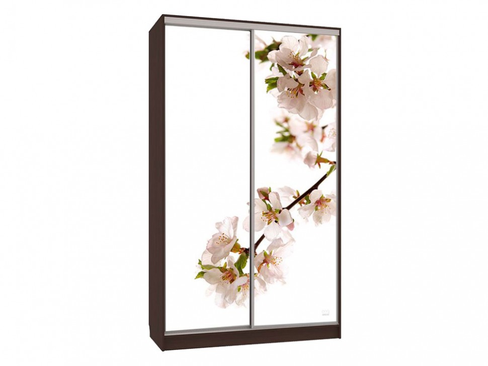 Шкаф-купе Колорадо 7 Яблоня