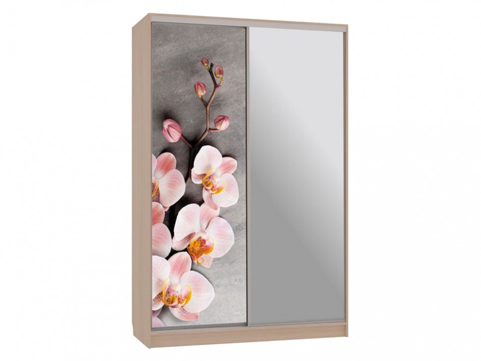 Шкаф-купе Колорадо 9 Цветы