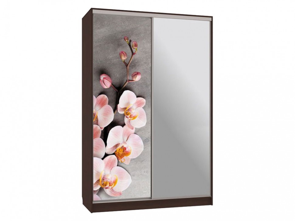 Шкаф-купе Колорадо 9 Цветы