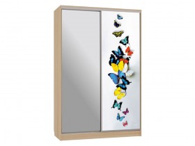 Шкаф-купе Шкаф-купе Рио / Гранд 9-600 88