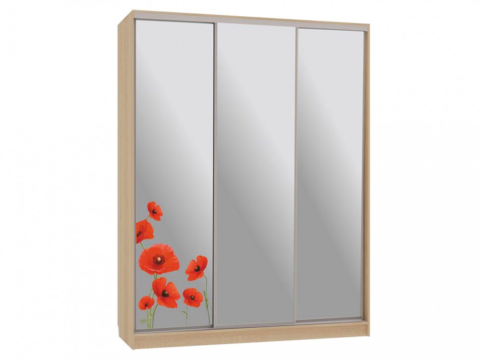 Шкаф-купе Бассо 4 Маки