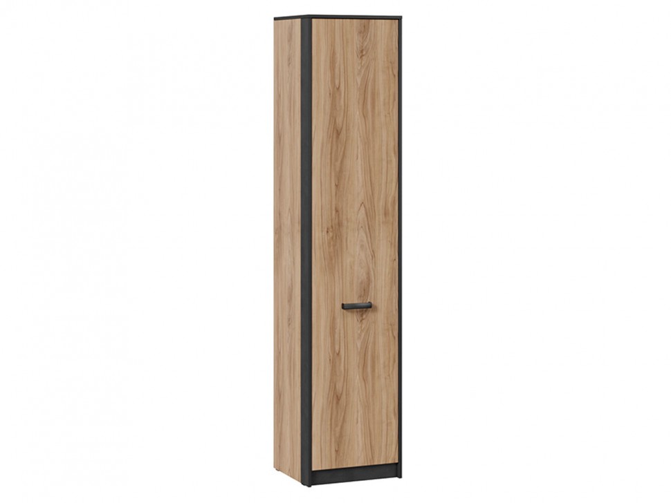 Детский шкаф Шкаф 1 дв Рико