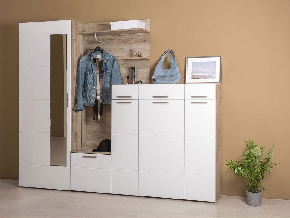 Распашной шкаф Лайн
